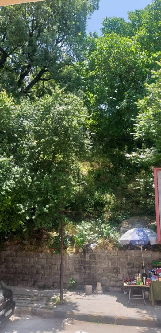 Mountain View Apartment in Slanfah, Lattakia