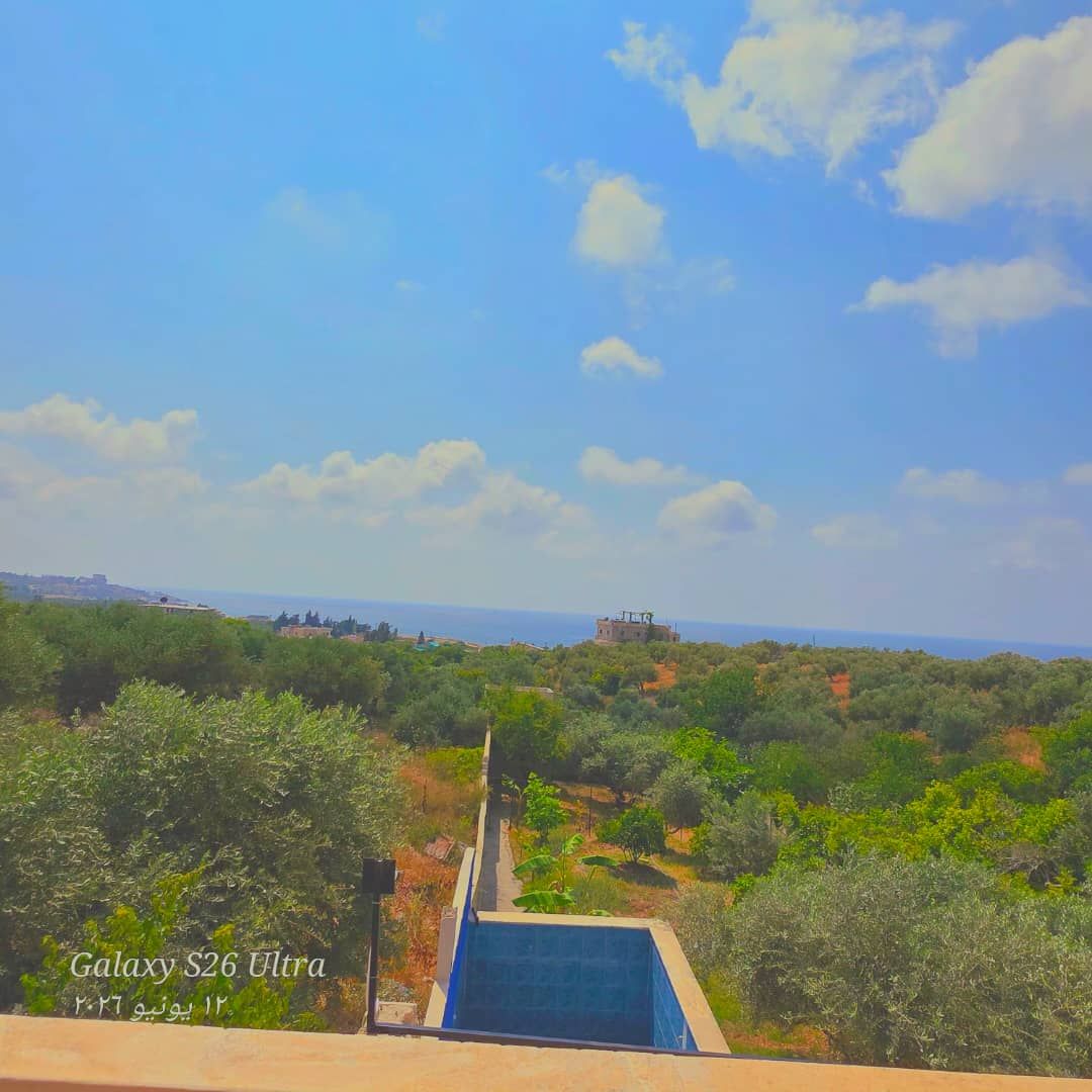 Sea & Mountain View Palace in Latakia